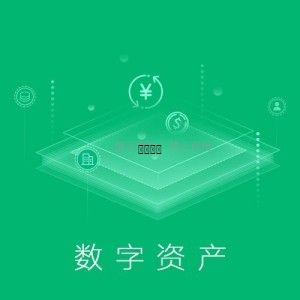 数字资产