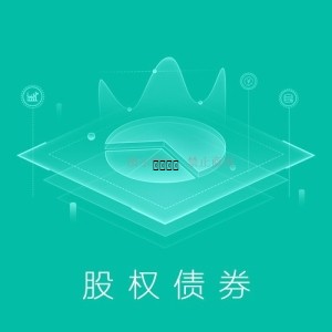 股权债券